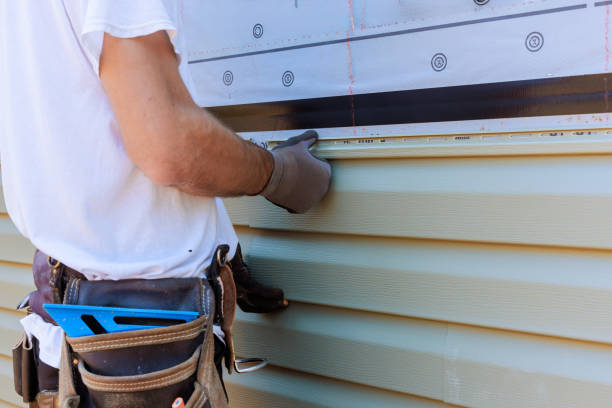 Affordable Siding Replacement solutions in Chandlersville, OH
